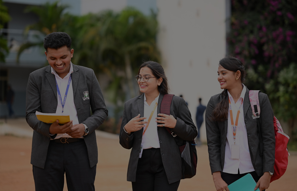 Indus Valley College